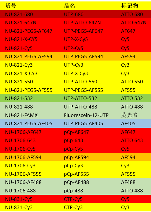多姿多彩的荧光标记核苷酸