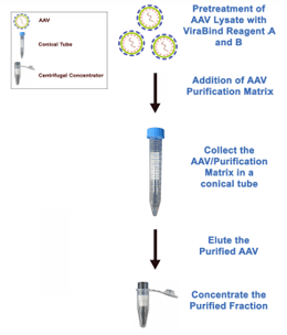 腺相关病毒纯化方案——Cell Biolabs的AAV纯化试剂盒