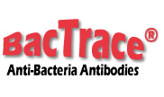 BacTrace抗幽门螺旋杆菌抗体