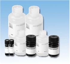 蛋白免疫印迹检测试剂盒