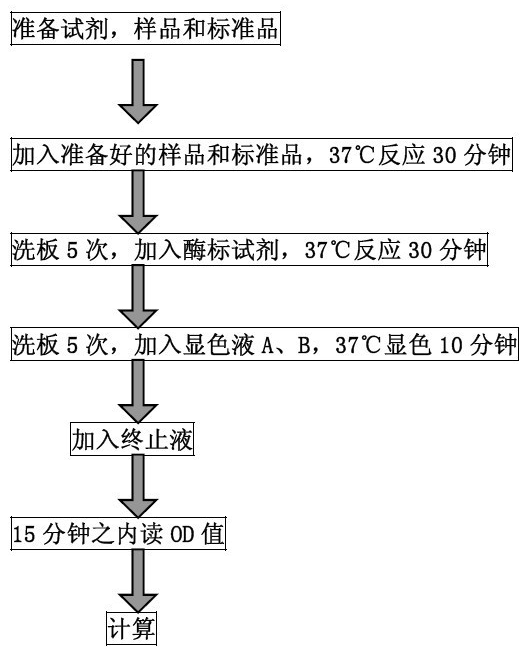 基质细胞衍生因子ELISA检测试剂BS-0191