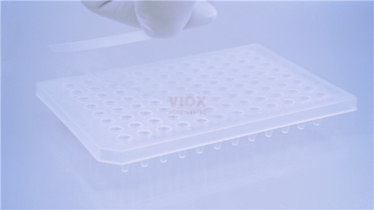 PCR封板膜 超高透明荧光定量PCRV-UCS