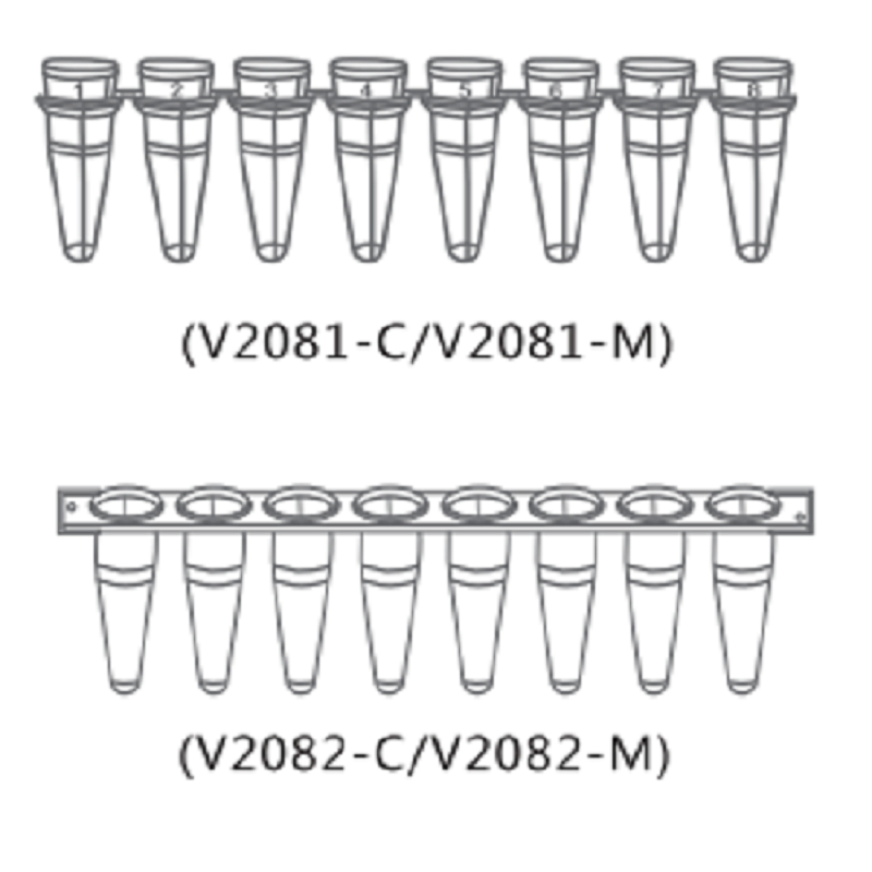 上海 PCR管-0.2ml低位八连管含光学平盖无酶V2081-C