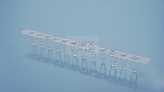 PCR十二联管 0.1mlpcr管带PCR光学平盖V10122-C