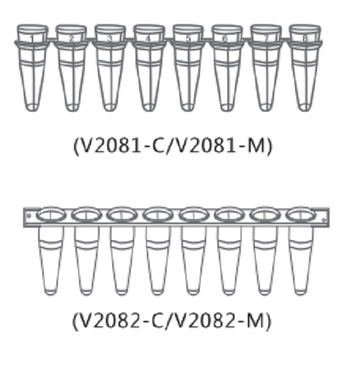 广东PCR管-0.1 0.2透明荧光定量pcr管V1082-C