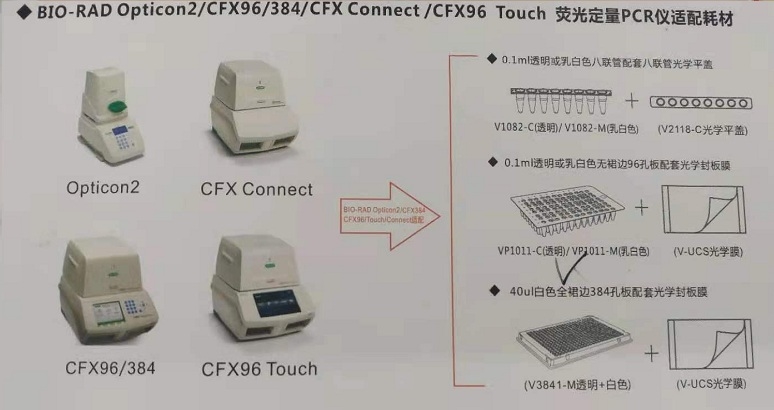 BIO-RAD伯乐CFX384用0.1ml白色无裙边96孔板VP1011-C