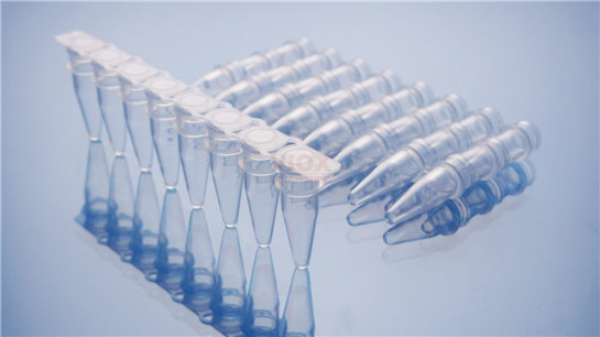 ABI梯度PCR仪适配pcr八联排0.2ml透明管及板V2081-C