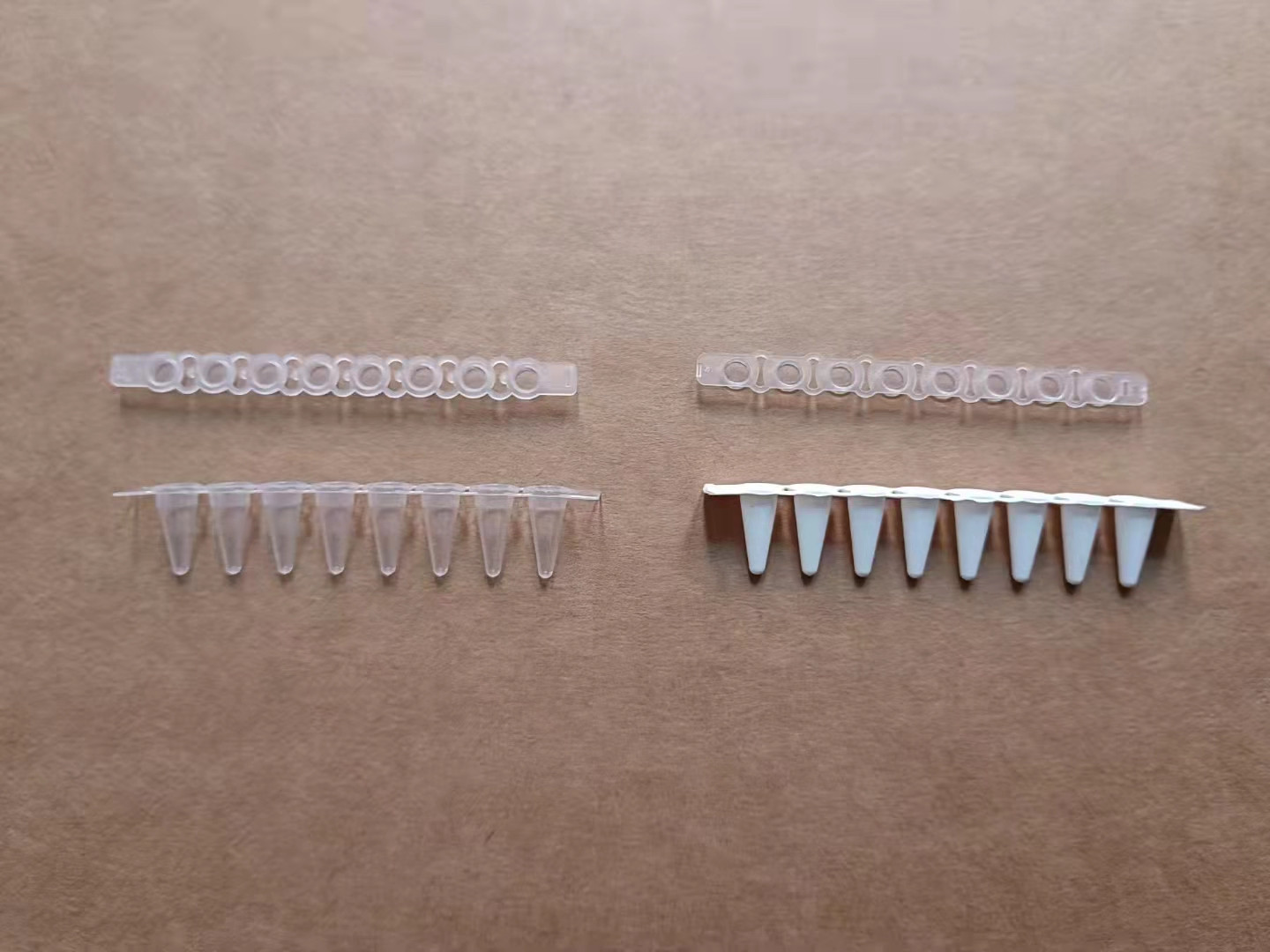 罗氏480适配耗材 八联管 96孔pcr板BS-PCR-081-C