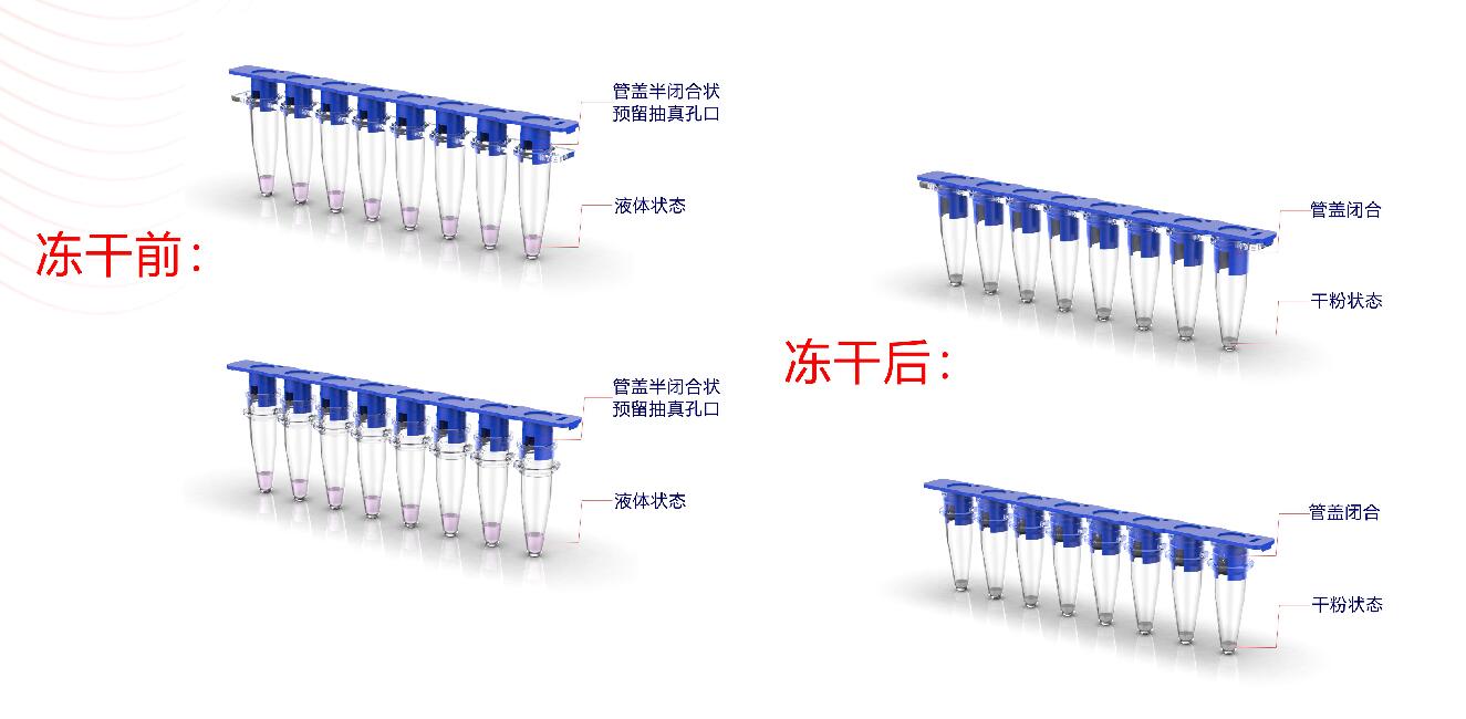 冻干试剂八联管2mlPCR管透明含双侧夹扣平盖V2083-C