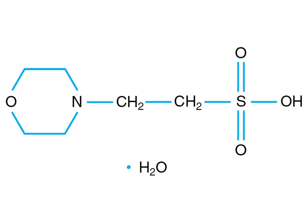MES monohydrate Buffer/HR2-587 0.5 M MES monohydrate/HR2-787 1.0 M MES monohydrate pH 6.5