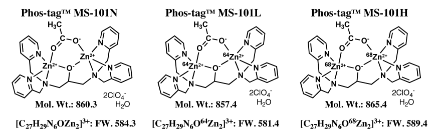 磷酸化蛋白分析用——Phos-tag™ 系列产品