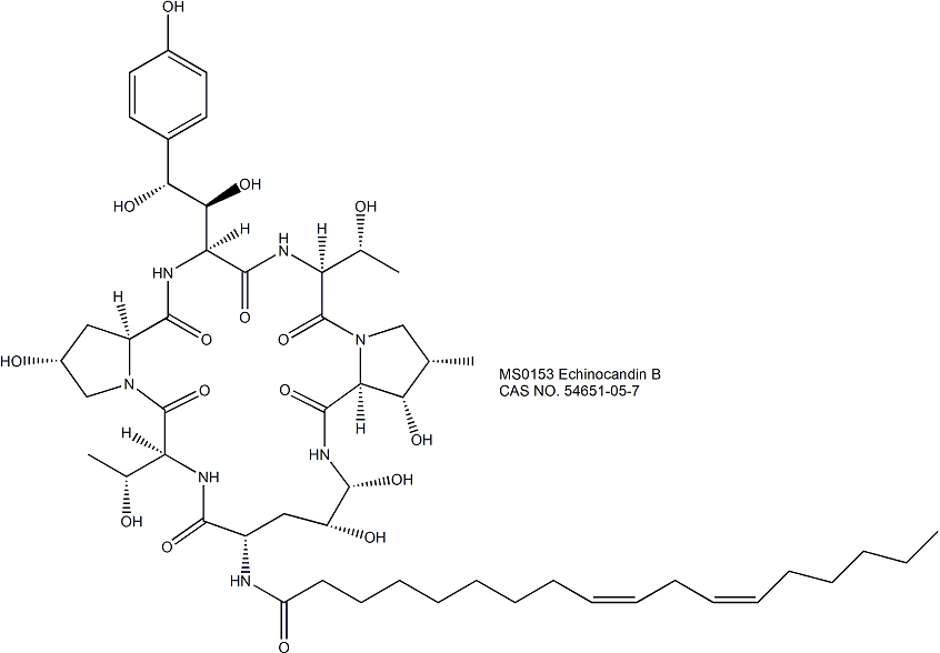 Echinocandin B棘白菌素B (1,3-β-D-葡聚糖合成抑制剂)