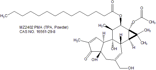 PMA (TPA, Powder) 佛波肉荳蔻醋酸