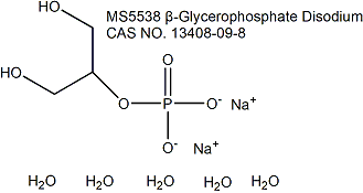 β-Glycerophosphate (BGP) Disodium β-甘油磷酸钠
