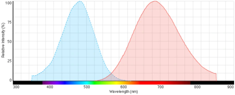 Di-4-ANEPPS 膜电位荧光探针