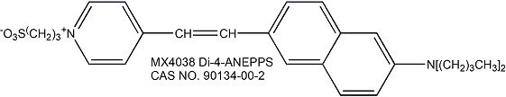 Di-4-ANEPPS 膜电位荧光探针