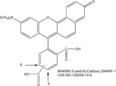 5-(and-6)-carboxy SNARF-1, Cell Impermeant  pH荧光探针