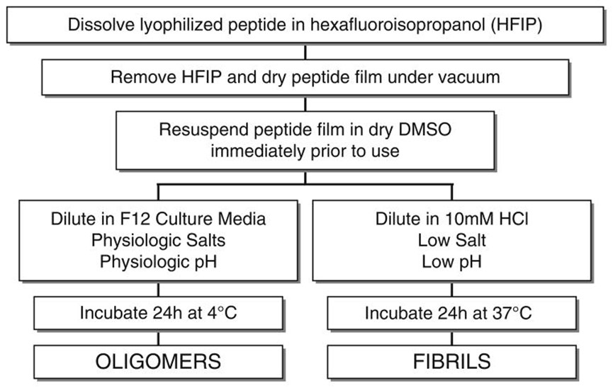 Amyloid β Peptide 1-42, Human  人β-淀粉样多肽1-42（HFIP处理）