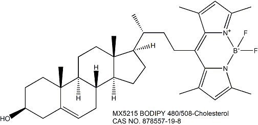 BODIPY 480/508-Cholesterol 胆固醇荧光探针