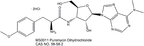 Puromycin Dihydrochloride 嘌呤霉素盐酸盐