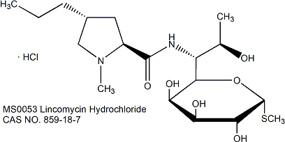 Lincomycin HCl 盐酸林可霉素（细胞培养级）
