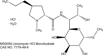 Lincomycin HCl Monohydrate 盐酸林可霉素一水合物
