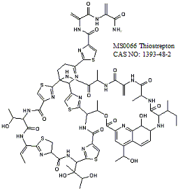 Thiostrepton 硫链丝菌素