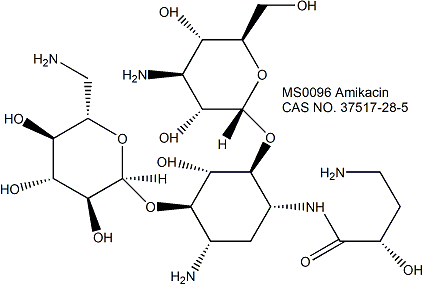 Amikacin 阿米卡星（丁胺卡那霉素）