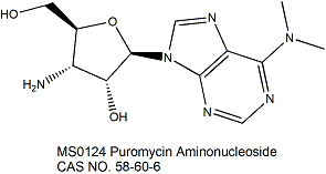 Puromycin Aminonucleoside 嘌呤霉素氨基核苷