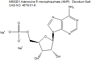 Adenosine 5′-monophosphate (AMP),  Disodium Salt 腺苷5’-单磷酸二钠盐