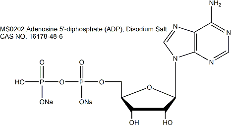 Adenosine 5′-diphosphate (ADP),  Disodium Salt  腺苷5’-二磷酸二钠盐　