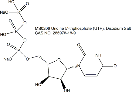 Uridine 5&#8242;-triphosphate (UTP), Disodium Salt 尿苷5’-三磷酸二钠盐