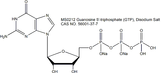 Guanosine 5′-triphosphate (GTP), Disodium Salt 鸟苷5’-三磷酸二钠盐