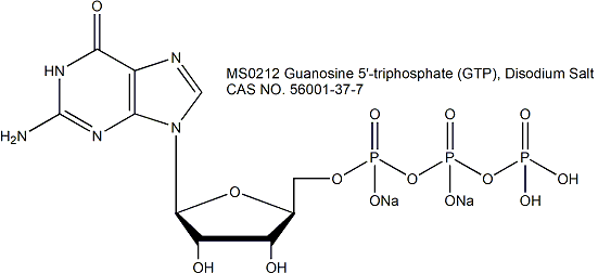Guanosine 5&#8242;-triphosphate (GTP), Disodium Salt 鸟苷5’-三磷酸二钠盐