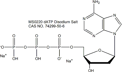 2&#8242;-Deoxyadenosine-5&#8242;-triphosphate (dATP), Disodium Salt 2&#8242;-脱氧腺苷-5’-三磷酸二钠盐