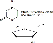 Cytarabine (Ara-C) 阿糖胞苷