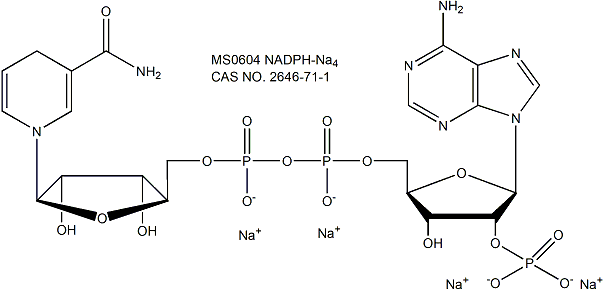 NADPH-Na4 还原型辅酶Ⅱ四钠