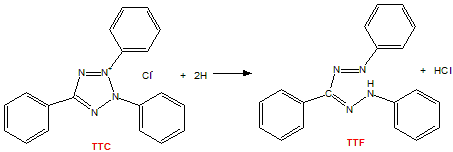 TTC 2,3,5-氯化三苯基四氮唑