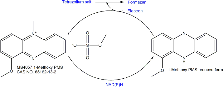 1-Methoxy PJP (Electron Mediator) 电子传递介质