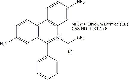 Ethidium Bromide (EB) 溴化乙锭