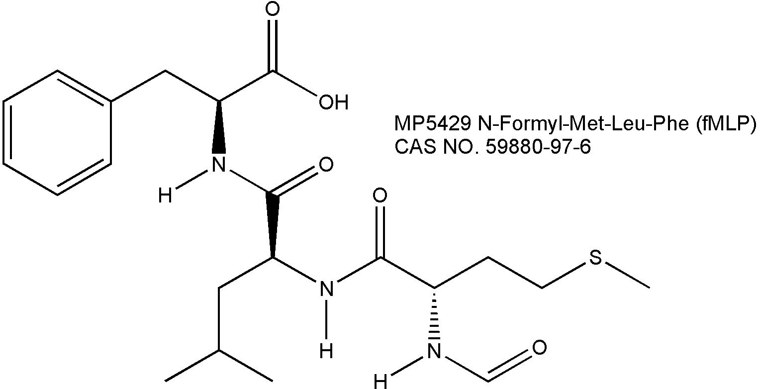 N-Formyl-Met-Leu-Phe (fMLP) N-甲酰-蛋氨酸-亮氨酸-苯丙氨酸