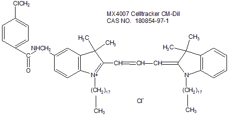Celltracker CM-DiI 活细胞示踪剂CM-DiI （红色）