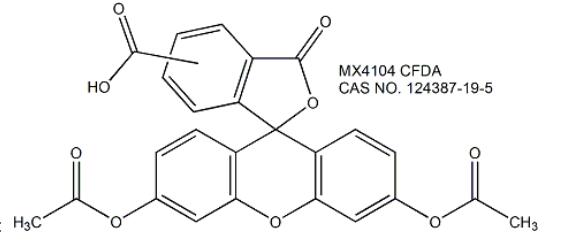 CFDA (5(6)-Carboxyfluorescein diacetate) 活细胞示踪探针