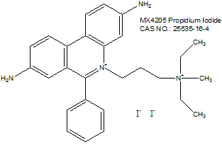 Propidium Iodide Stain, Ready-to-use 即用型 碘化丙啶（PI）染液