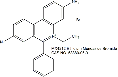 Ethidium Monoazide, Bromide (EMA)  溴化乙锭单叠氮溴