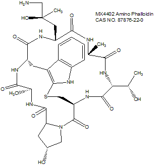 Amino Phalloidin 氨基鬼笔环肽