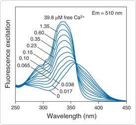 Fura-2, AM, Cell Permeant 钙离子荧光探针，超级纯