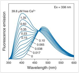 Indo-1, AM, Cell Permeant 钙离子荧光探针，超级纯