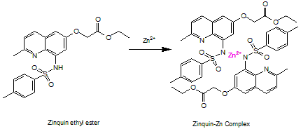 Zinquin ethyl ester 锌离子荧光探针
