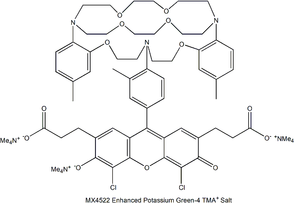 Enhanced Potassium Green-4 TMA+ Salt 钾离子指示探针